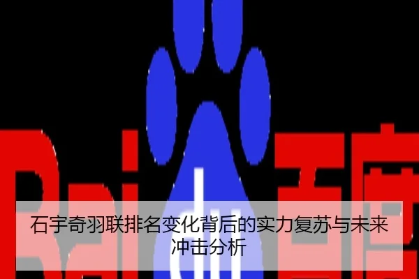 石宇奇羽联排名变化背后的实力复苏与未来冲击分析